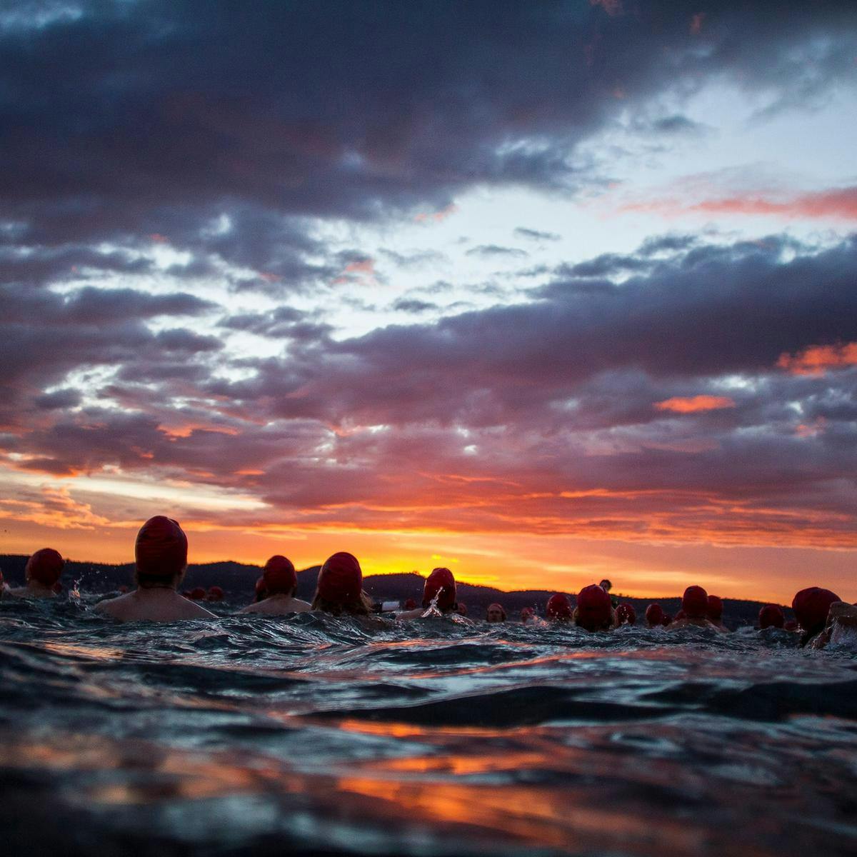 Several people's heads poke out above the ocean, a beautiful clouded sunrise in the background.