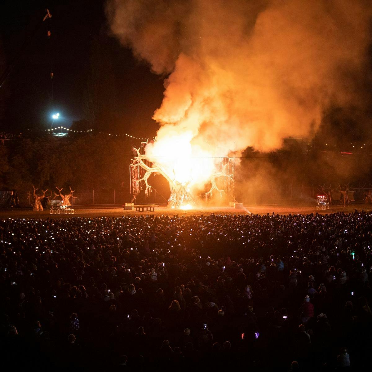 Thousands of people watch as a large tree Ogoh-Ogoh sculpture is engulfed with orange flames, a huge plume of smoke pollutes the air.